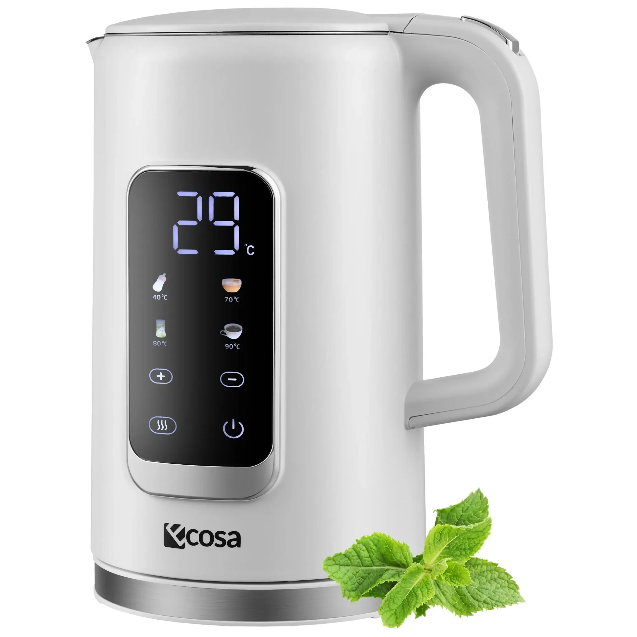 1.7 l electric kettle with temperature control